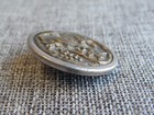 Antique Vtg 3-d Picture Button Insect On Fruit Aprx  1-1 4   039-y