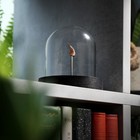 Velociraptor Tooth Bell Jar Real Dinosaur Fossil Home Decor Interior Design Gift
