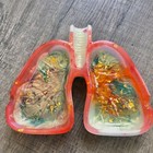 Ashtray Lung Cigarettes Holder Made From Resin Epoxy