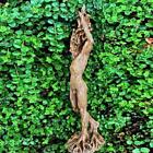 Aquarium Ornament Fish Planted Tank Decoration Resin Forest Tree Decor Statue
