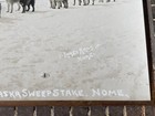 Lomen Brothers 1910 Rppc John Johnson Dog Sled 3rd All Alaska Sweepstakes Winner