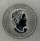 2017  9999  1 Oz Fine Silver Canada s 150th Anniversary  The Voyageur