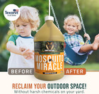 Max Miracle Outdoor Mosquito Spray For Yard Pet Safe Concentrate 1 Gal  makes Up