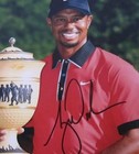 Tiger Woods Golf Pga Hand Signed Autographed Photo Coa Bridgestone Invitational