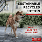 Reflective Cotton Dog Collar Eco Friendly Alt To Nylon Collar 10 16 In Neck Pink