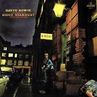 David Bowie The Rise And Fall Of Ziggy Stardust Banner Huge 4x4 Ft Fabric Poster