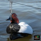 Avery Greenhead Gear Ghg 6  Gang Rig Long Line Clips Snaps Duck Goose Decoys 12