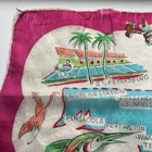 Vintage Florida Map Souvenir Sheer Pink Scarf  Hair Wrap Bandana Flamingos