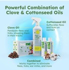 Bugmd Pest Control Essential Oil Concentrate For Pet Flea tick Spray  Full Pack