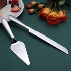 Wedding Cake Cutting Set 2pcs Silver Knife And Server For Weddings And Parties
