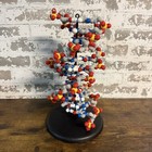 3d Molecular Designs 12-base Pair Dynamic Dna Model Kit