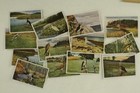 Vintage Tobacco German Bilder Gruppe Cigarettes Advertising Bird Trading Cards