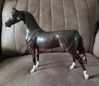 You Color It Marwari Best Offer