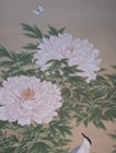 Japanese Hanging Scroll Art Painting  peony And Little Bird  Antique Kakejiku