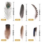 48pcs Natural Feathers Bulk - 6 Styles Assorted Peacock  Pheasant  Turkey Fea   
