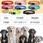 24 Pcs Dog Collars Bulk 1 Inch X 15 7 To 21 6 Inches  8 Assorted Colors