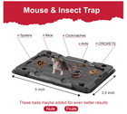 Pelrayt Mouse And Insect Glue Traps 12 Pack Non Toxic Sticky Rat Trap Indoor Us