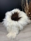 Huge Genuine Icelandic Sheepskin Rug - Luxurious Natural Sheepskin Pelt For Home