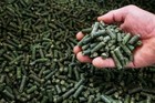 Cz Grain Alfalfa Pellets For Feeding - Guinea Pigs  Rabbits  Birds And More Smal