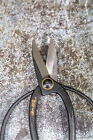 Marushin Bonsai Scissors     Japanese Steel     17 Cm     Precise Cut