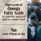 Puppy Grain-free Dry Dog Food  High Protein Real Texas Beef   Sweet Potato 22lb