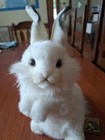 Hansa Baby Bunny White Sitting Rabbit Plush Animal With Tags Displayed Only