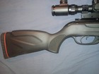 Gamo Air Rifle 3x9x40 Scope Swarm  Whisper Gun 177 Caliber 10 Shot Black