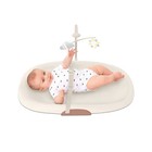 Skip Hop Oat Changing Pad