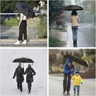 Mini Travel Umbrella Windproof Compact Folding Umbrella Portable Auto Open Close