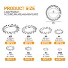 Stainless Steel External Tooth Star Lock Washers Assortment Kit  330 Pcs 