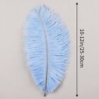 Baby Blue Ostrich Feathers 24pcs Natural Bulk 10-12inch 25cm-30cm For Crafts    