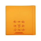 Pokemon S-chinese Sealed Gift Box Flareon Eevee Gx Theme 480 Slots Card Binder