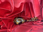 Antique Miniature Violin guitar tortoise bone doll france C1880 music Instrument