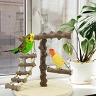 Bird Play Stand Cockatiel Playground Parrot Wood Perch Gym Toys