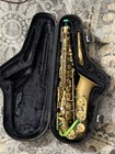 Ishimori woodstone Alto Saxophone - Un-lacquered Finish