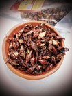 Habanero Chapulines 90 Gr  extra Hot Grasshoppers   From Oaxaca 