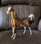 Sir Squish 2006 Glossy Pinto Arabian 