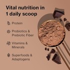 Shakeology Whey Protein Powder Blend - Gluten Free  Superfood Protein Shake With