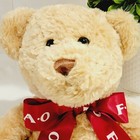 Rare Fao Schwarz Teddy Bear 16    Toys R Us 2013 Stuffed Animal Plush Red Bow Cute