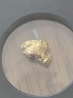 Arizona Yum Gold Nugget 1 34 Grams Vault Box Funbox 2024 Ngc Certified