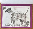 Rare Vintage Lot Of 6-the Bull Terrier Quarterly Magazine Htf