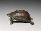 Antique Japanese Bronze Turtle Movable Head Okimono Signed