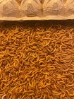 Live Mealworms - 2000 Large Or Medium Sized - Reptile Food