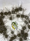 Fuzzy Dice Bait Minnow W rattles Light Gray With Silver Specks Floating Bin 42