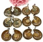 Wholesale Lot 12 Pcs Ammonite Pendant With Rhodium Findings Natural Crystal