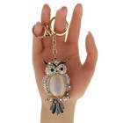 Large Gold Tone 3d Rhinestone Owl Fashion Key Chain bag Charm Statement