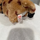 Ty Beanie Boos Buckwheat Lynx Bobcat Plush Stuffed Animal Glitter Eyes