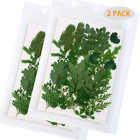 42 Pcs Real Dried Pressed Leaf Flowers Plant Herbarium For Craft Resin Jewelry M