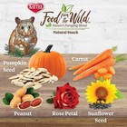 Kaytee Food From The Wild Natural Snack Hamster   Gerbil Treats  2-oz Bag