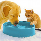 Heated Water Bowl For Dog Cat  Outdoor Warming Dog Bowl With Chew Resistant Powe
